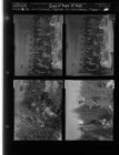 Christmas tree feature; Group of people at table (4 Negatives (December 20, 1958) [Sleeve 50, Folder d, Box 16]